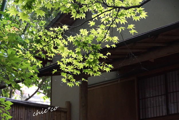 鎌倉-259