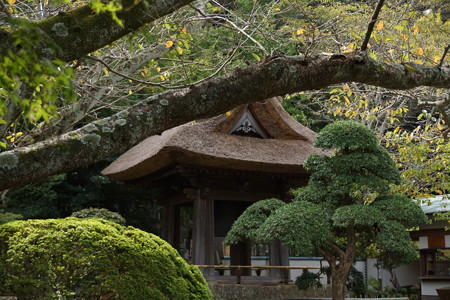 鎌倉-146