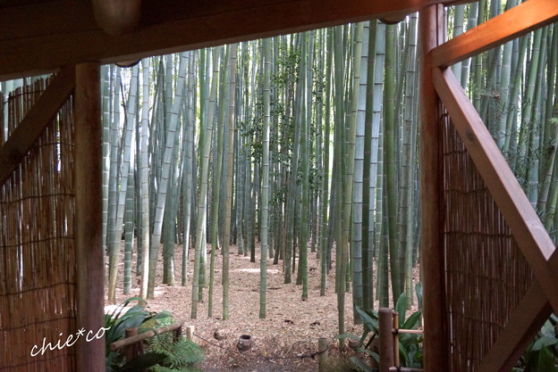 鎌倉-278