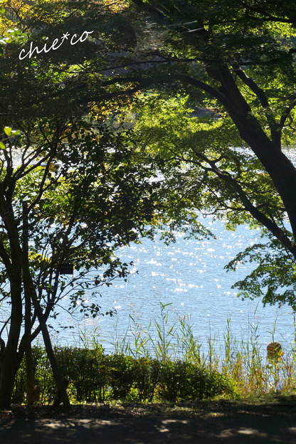 DSC07872-001