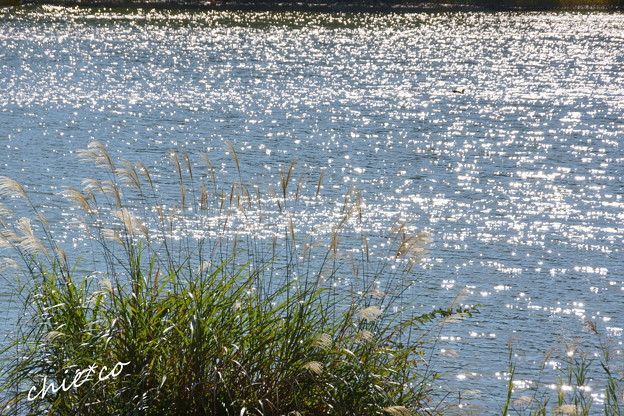 DSC07879-001