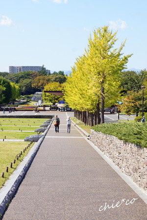 昭和記念公園-350