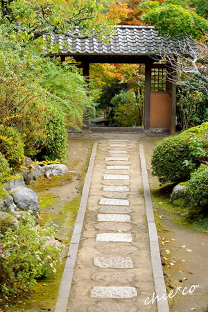鎌倉-223