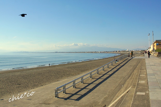 DSC08467-001
