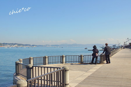 DSC08433-001