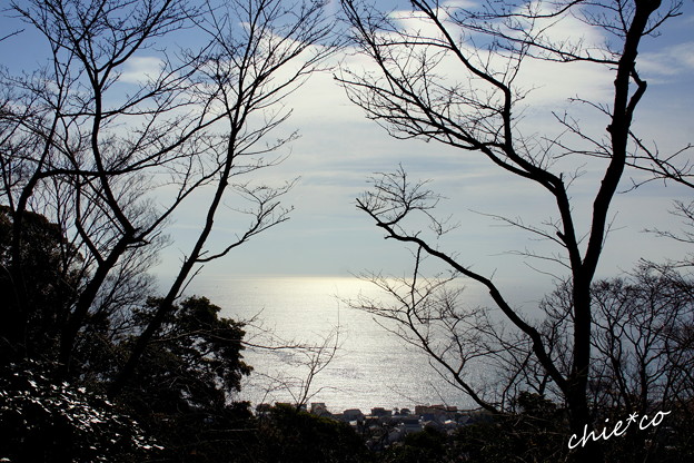 吾妻山公園-180