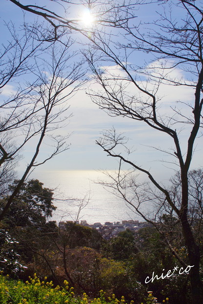 吾妻山公園-185