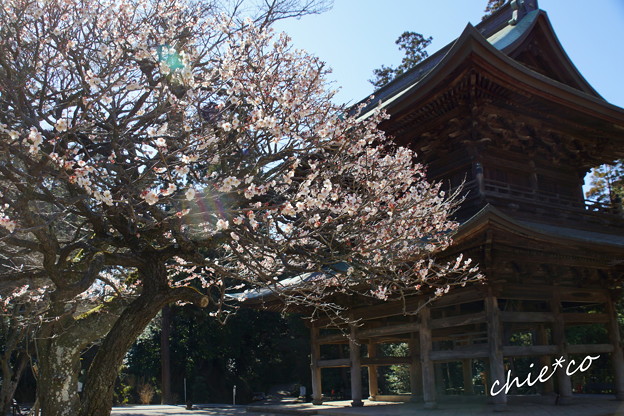 北鎌倉-365