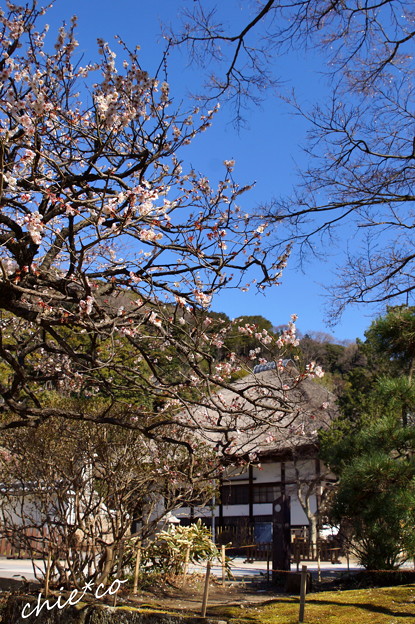 北鎌倉-366