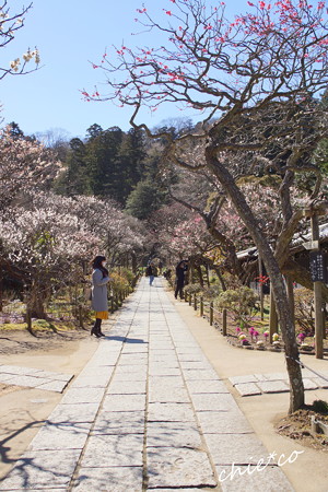 北鎌倉-405
