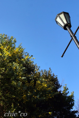 DSC01474-001