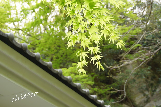 鎌倉-712