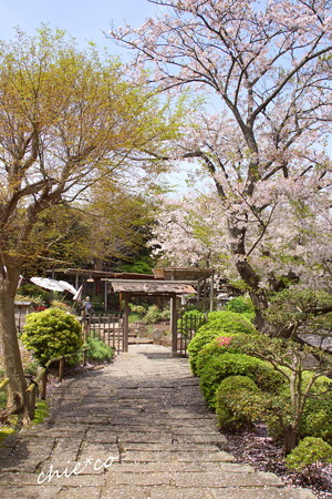 鎌倉-782