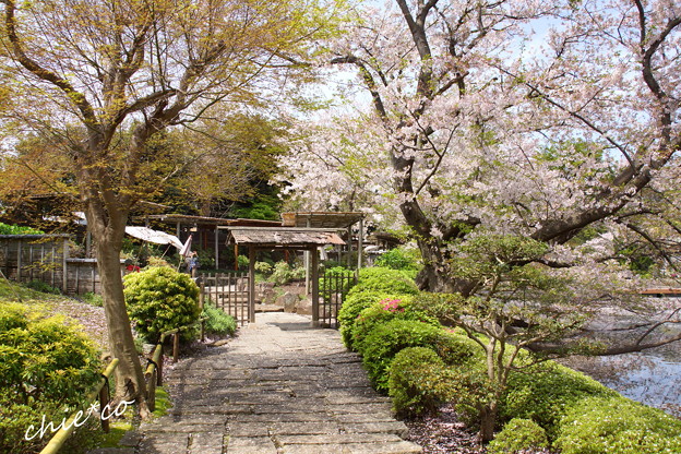 鎌倉-783
