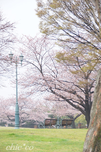 根岸森林公園-103