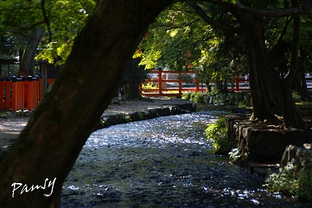 上賀茂神社にて・・1