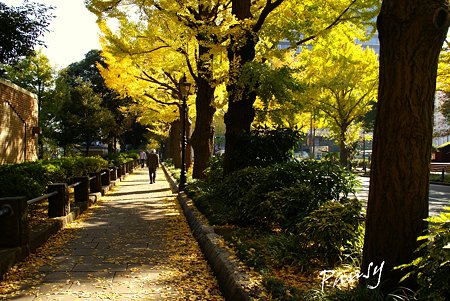 晩秋の横浜・・2