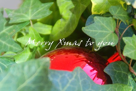 Christmas...3