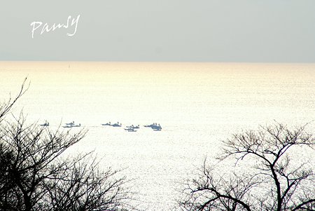 丘の上からの海・・2