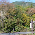 Photos: DSC_4616