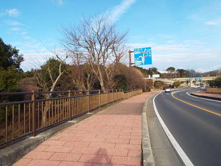 DSCF6676八重寒紅TA7099田鶴鳴梅林