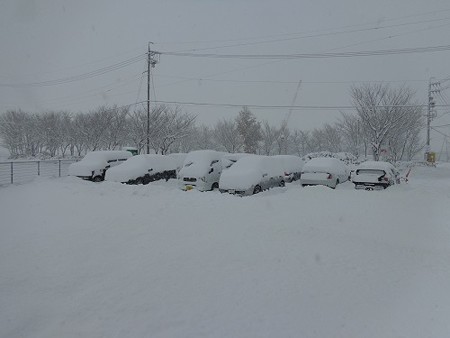 DSC08073 500