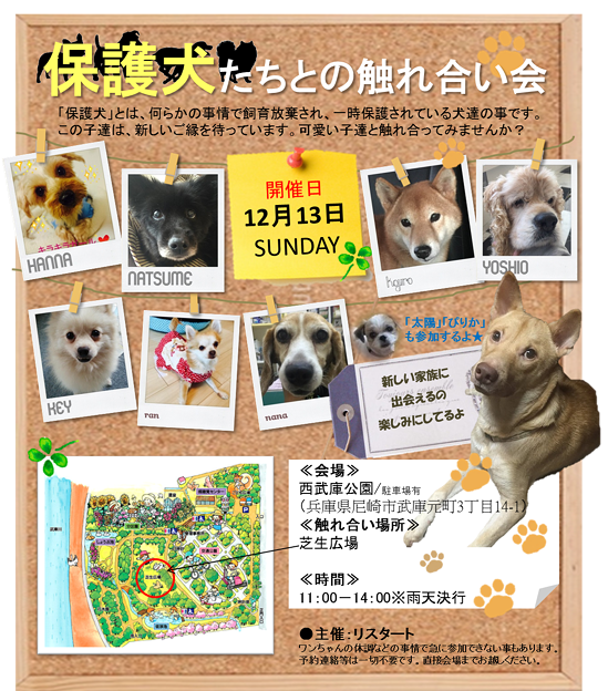 リスっこふれあい会&譲渡会