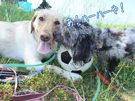 そこでも・・・