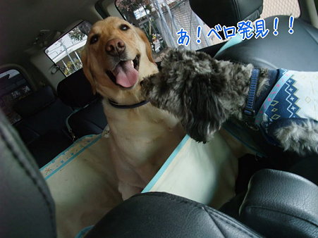 どんなときも・・・