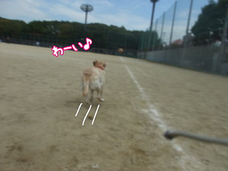 わーい