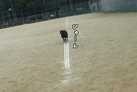 ビューン