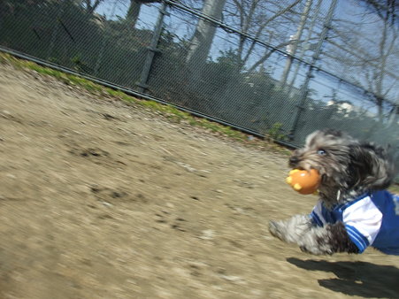 春~馬~♪