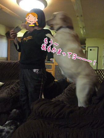 怒る紫音