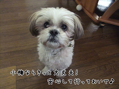 大丈夫