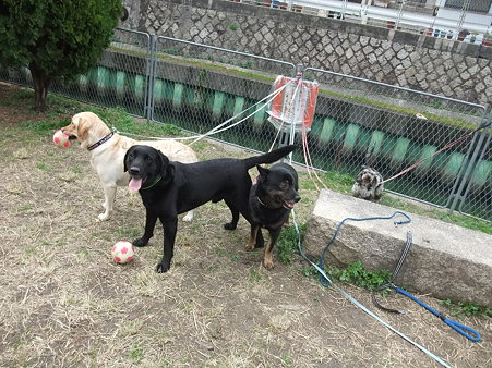 こんな感じです