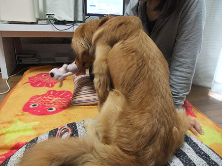 おもちゃより