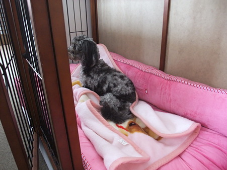 ここ、え~な~