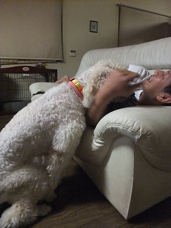 スキスキ~~~