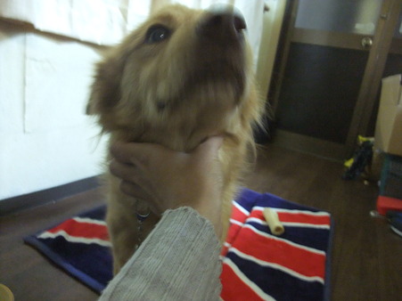 難儀な子やなぁ~