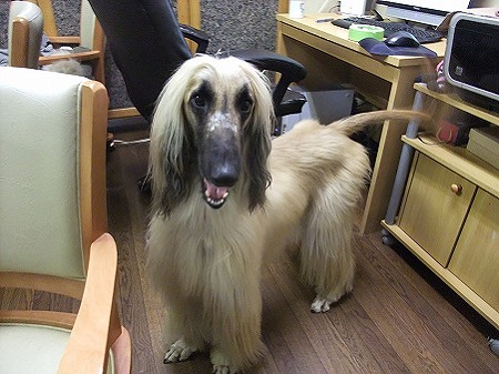 笑顔で迎えてくれた