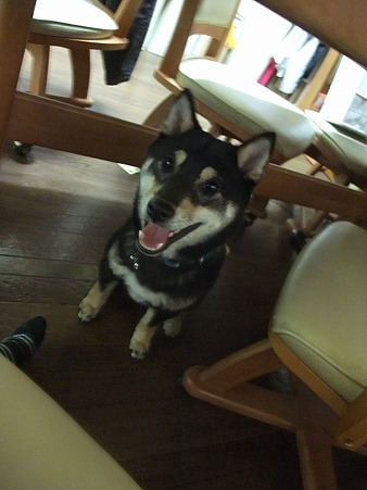 笑顔がかわいい大地