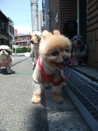 笑顔のポンちゃん♪