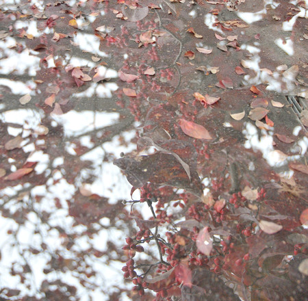 DSC_2163