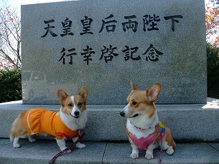 2009_1123岡山にて0204