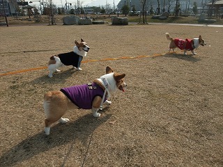 2010_01290032