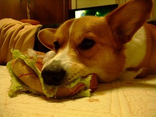 2010_02070004
