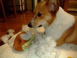 2010_02070001
