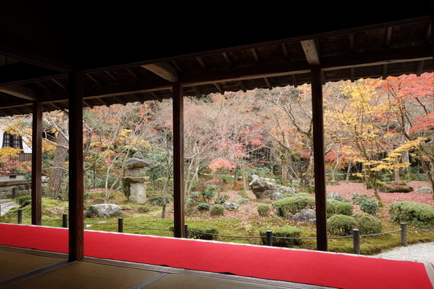 晩秋の圓光寺2015