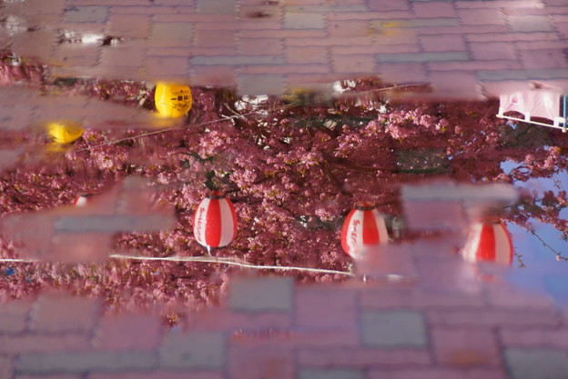 水たまりへの映り込み20160221c