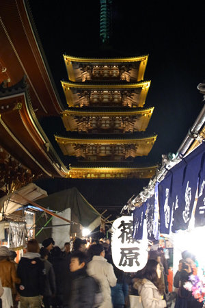 浅草寺の五重の塔!(091217)